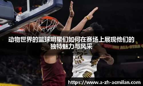 米兰体育官网